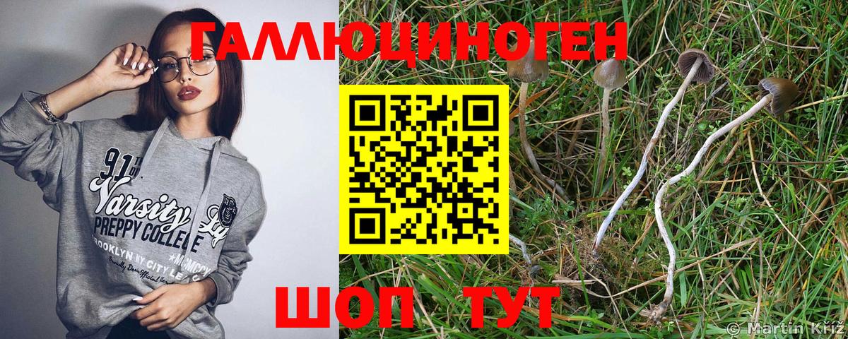 Галлюциногенные грибы Cubensis  Псилоцибиновые грибы Psilocybine cubensis  Новоуральск  Вход с VPN 