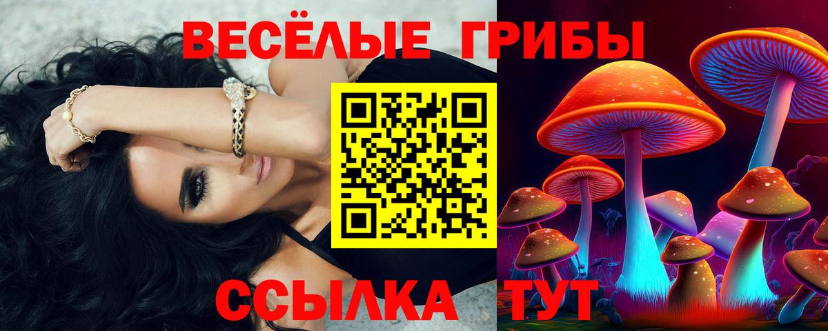 Псилоцибиновые грибы ЛСД Новоуральск